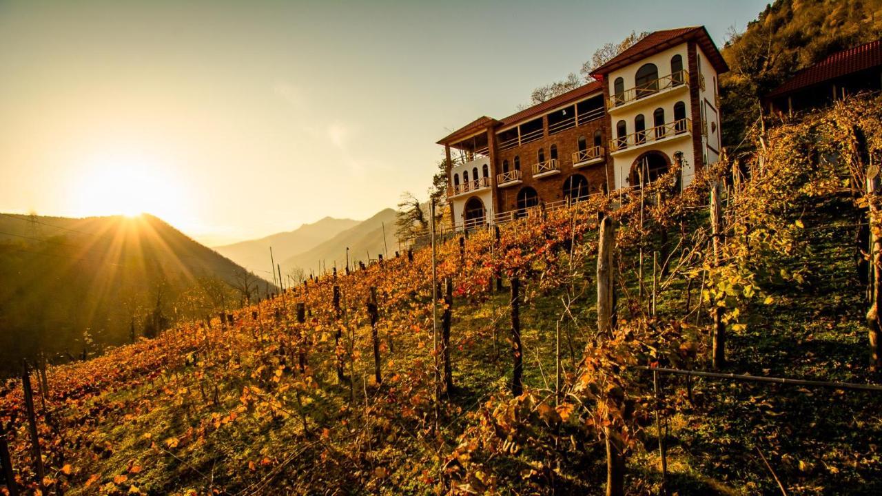 Hotel Chateau Iveri Varjanisi Экстерьер фото