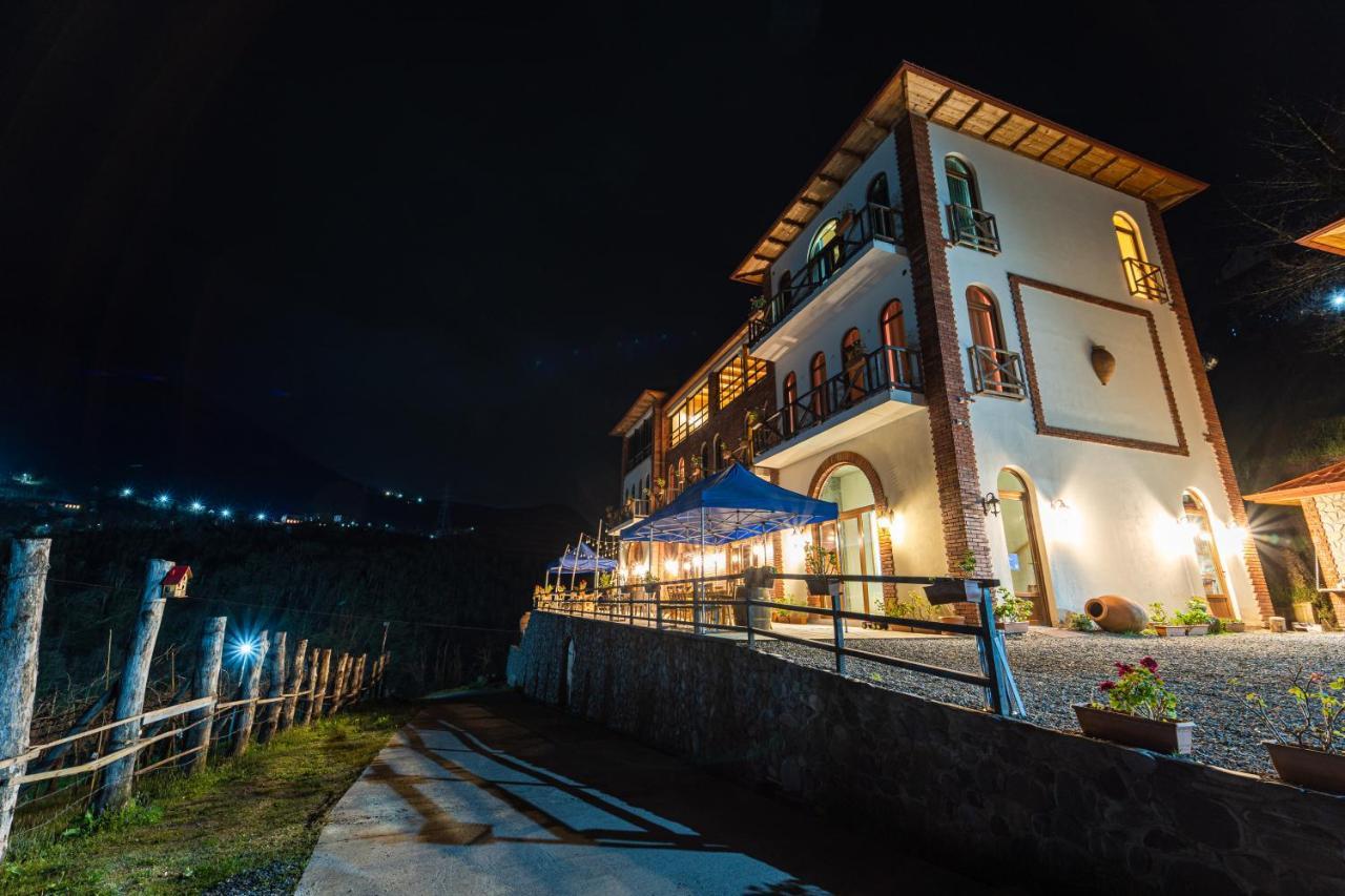 Hotel Chateau Iveri Varjanisi Экстерьер фото