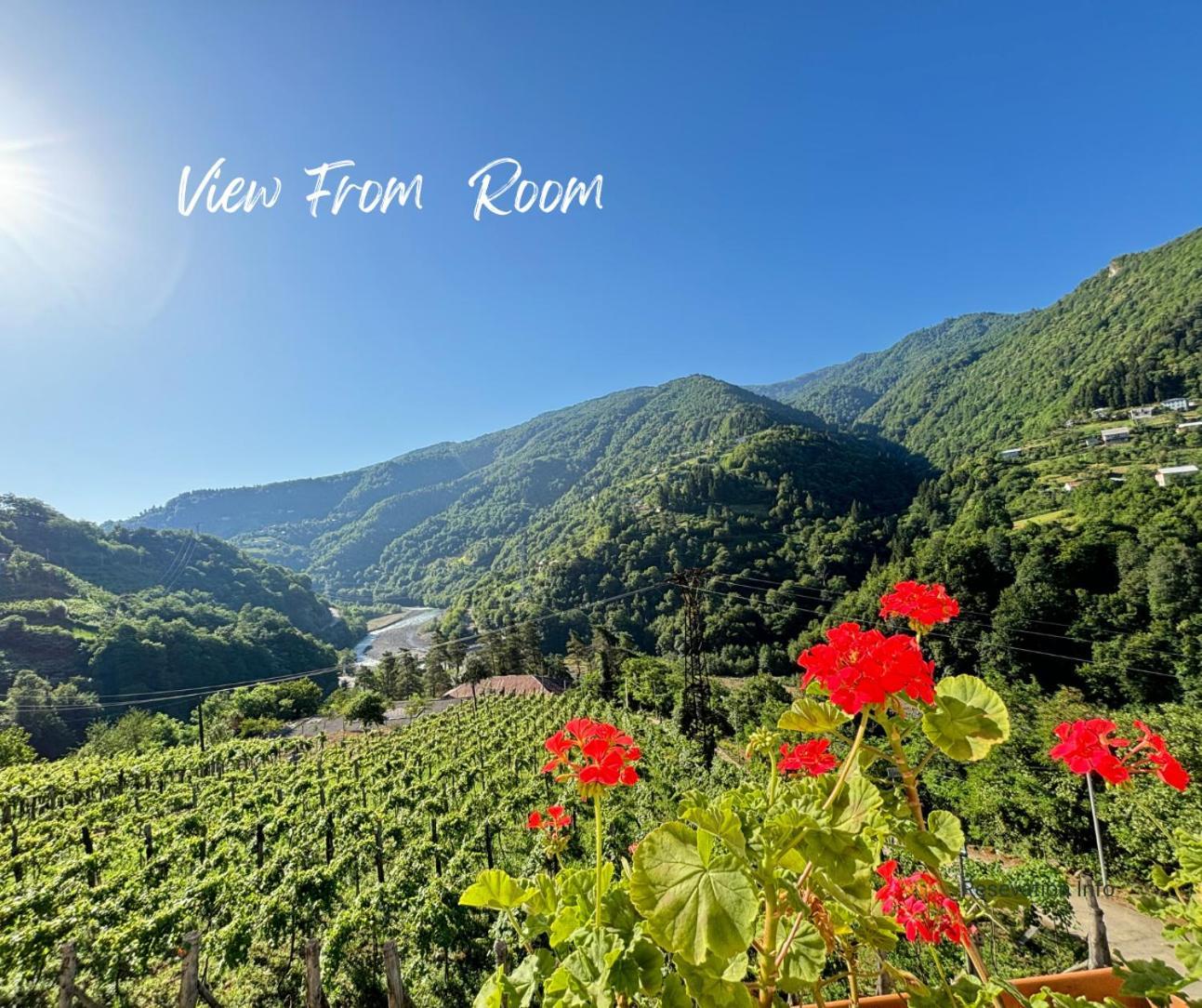 Hotel Chateau Iveri Varjanisi Экстерьер фото